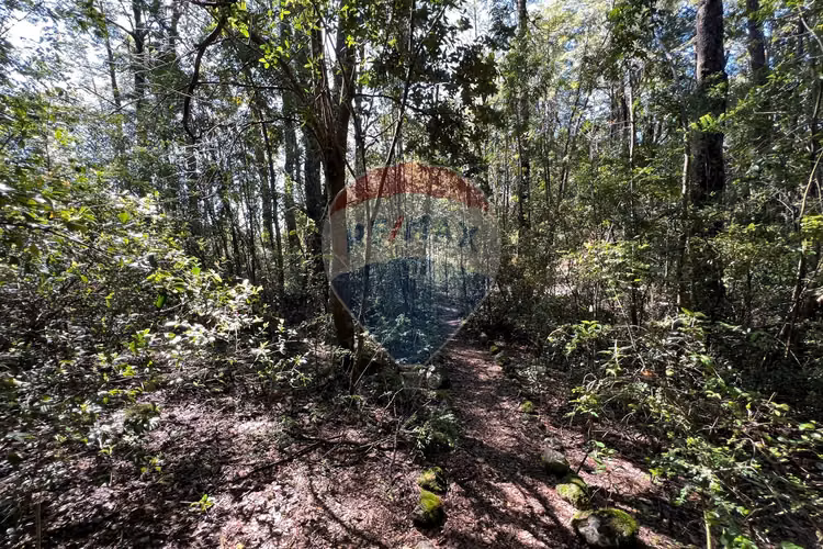 Parcela con orilla de camino al volcán, pucón