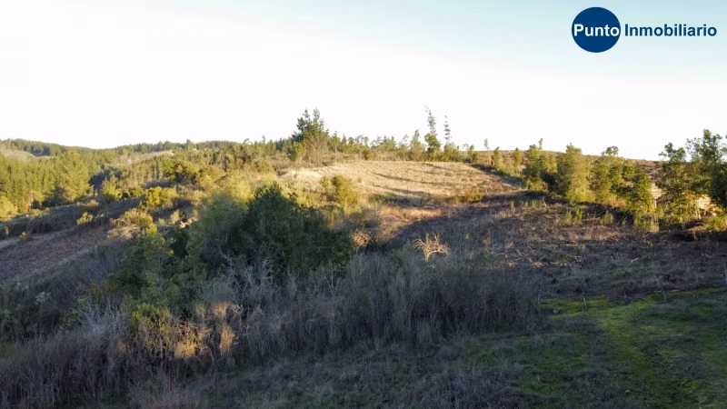 Venta de Campo 11,4 hectáreas agrícolas - Imagen 9