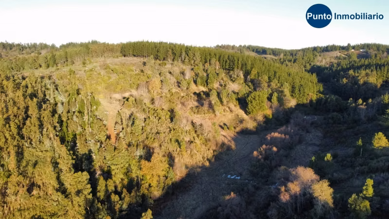 Venta de Campo 11,4 hectáreas agrícolas
