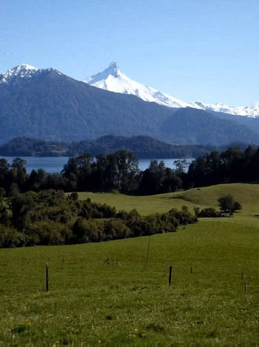 Agrícola en Venta en Puerto Varas - Imagen 9