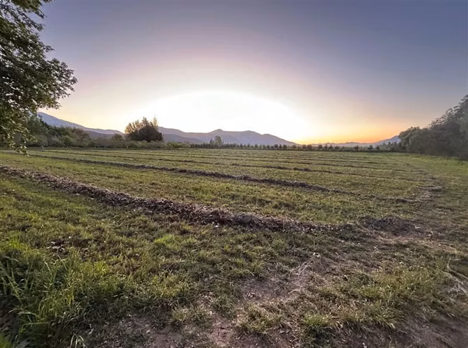 Agrícola 3.7 hectáreas, casa patronal. Derechos de agua - Imagen 25
