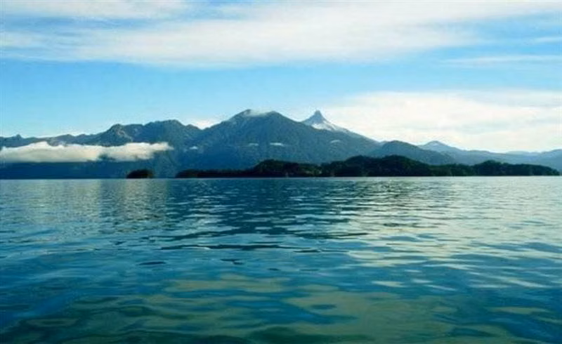 Agrícola en venta en Puerto Varas