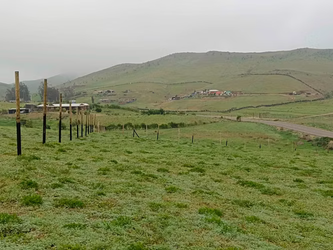 EXCLUSIVA PARCELA TALINAY NATURALEZA Y TRANQUILIDAD