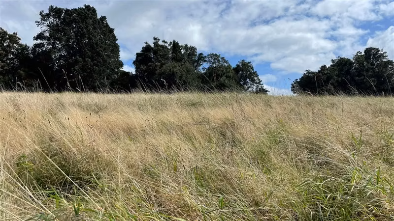 Parcela en venta en Puerto Varas - Imagen 7