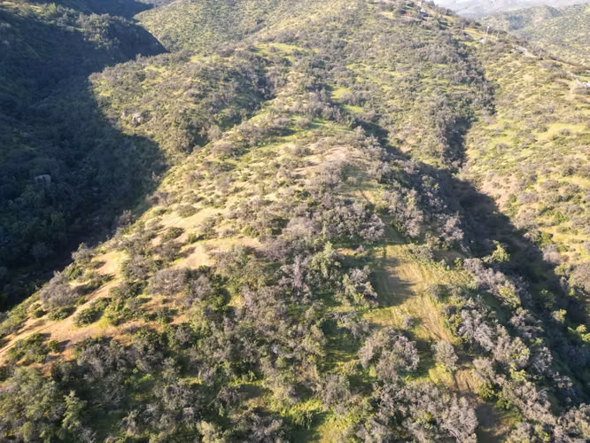 VENTA TERRENO DE 31,7 HAS - 317.000 M2 - LO BARNECHEA
