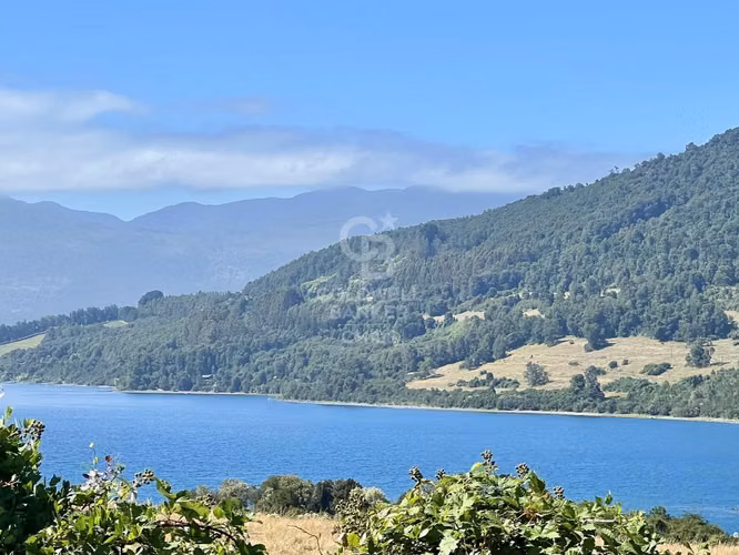 Sitio Lago Riñihue, sector "El desagüe"