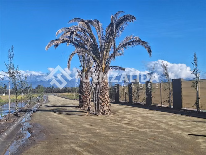 Parcela venta Talagante Colegio Carampangue Lonquen Sur