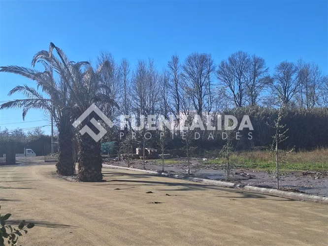 Parcela venta Talagante Colegio Carampangue Lonquen Sur