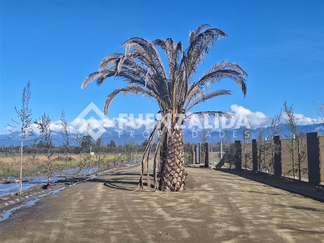 Sitio en venta en Talagante Colegio Carampangue