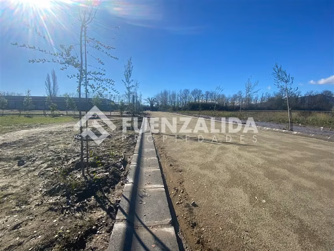 Sitio en venta en Talagante Colegio Carampangue