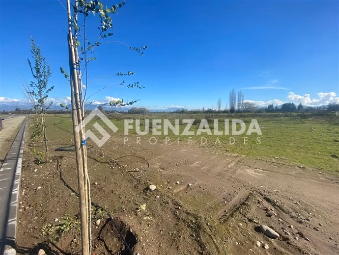 Sitio en venta en Talagante Colegio Carampangue