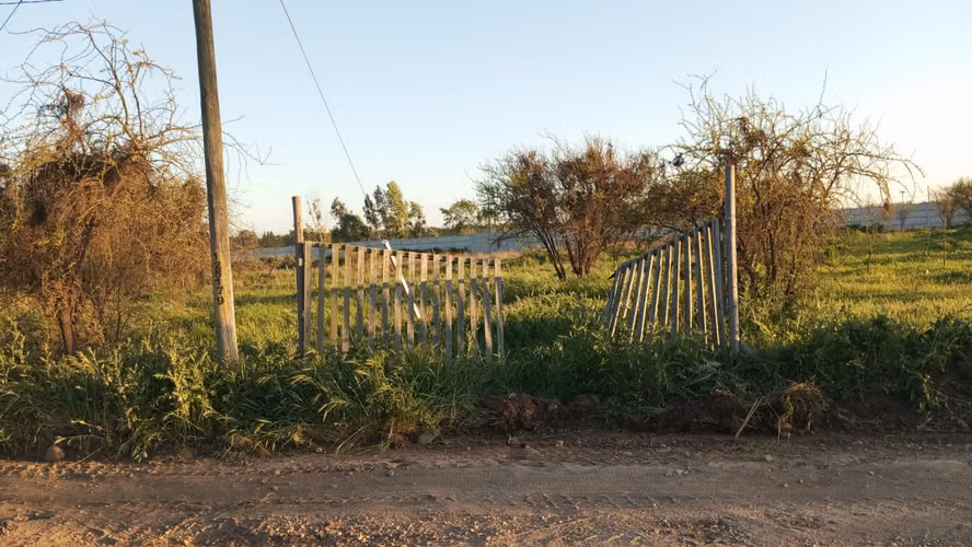 Grace Kelm Vende hermosa Parcela Plana con luz y cercado, a minutos de ruta 5 Sur en Linares