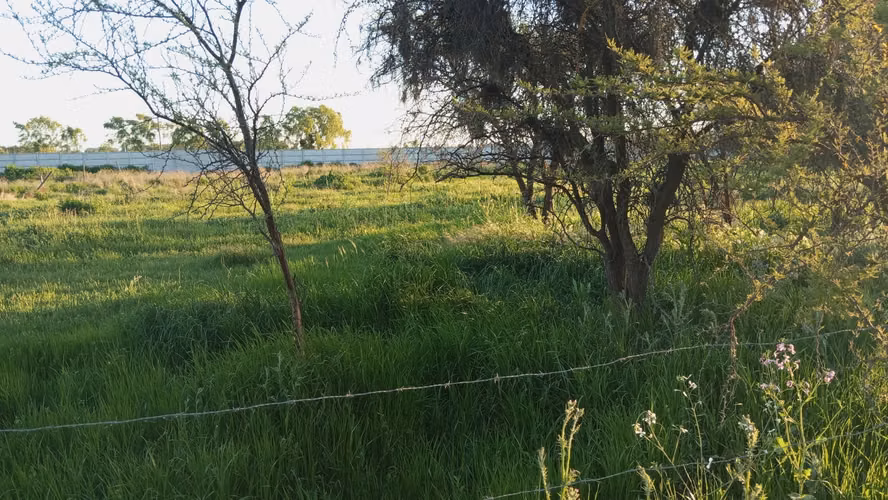 Grace Kelm Vende hermosa Parcela Plana con luz y cercado, a minutos de ruta 5 Sur en Linares