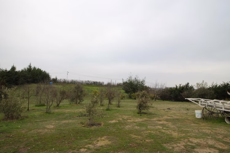 Terreno en Melipilla (156249) - Imagen 22