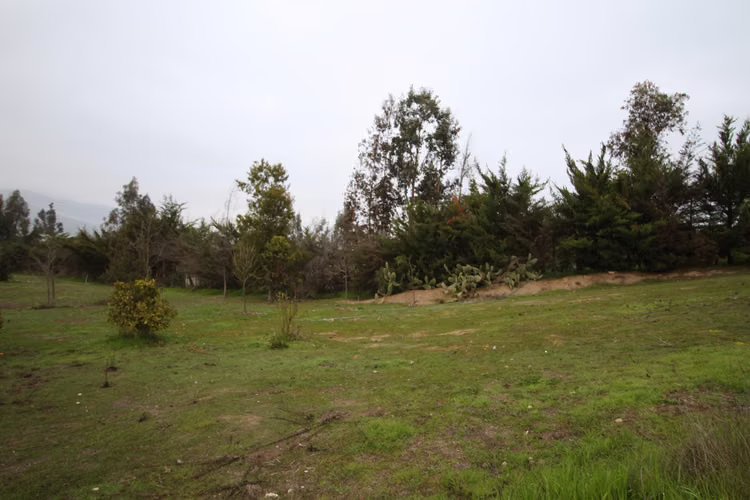 Terreno en Melipilla (156249) - Imagen 16