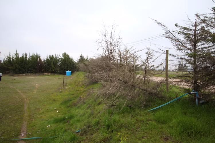 Terreno en Melipilla (156249) - Imagen 7