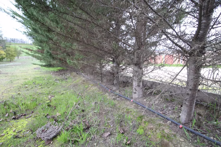 Terreno en Melipilla (156249) - Imagen 24