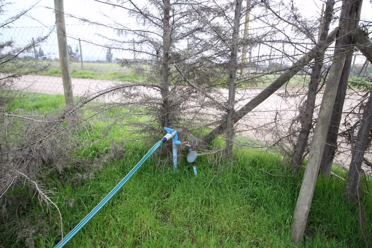 Terreno en Melipilla (156249) - Imagen 8