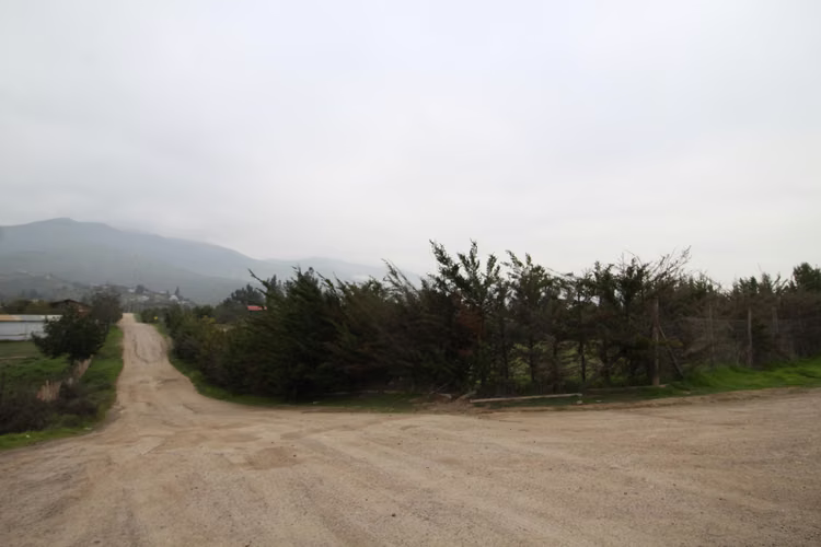 Melipilla (156251)