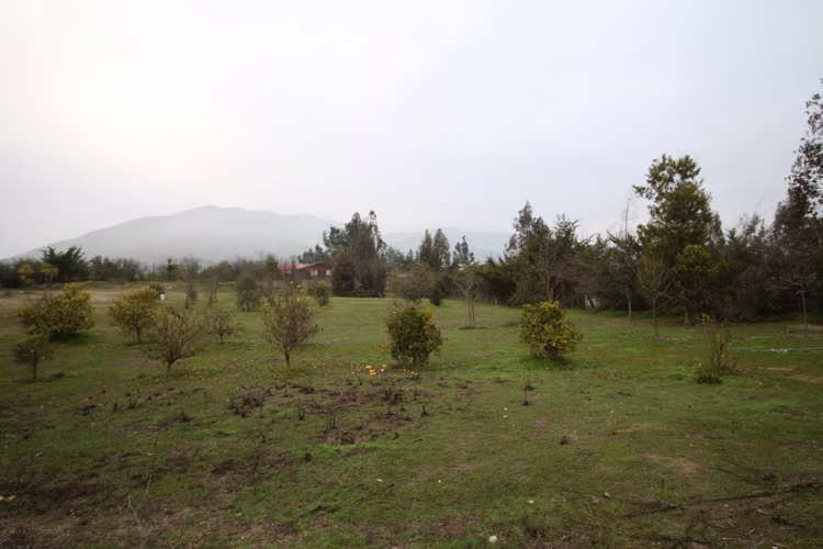 Melipilla (156251) - Imagen 15