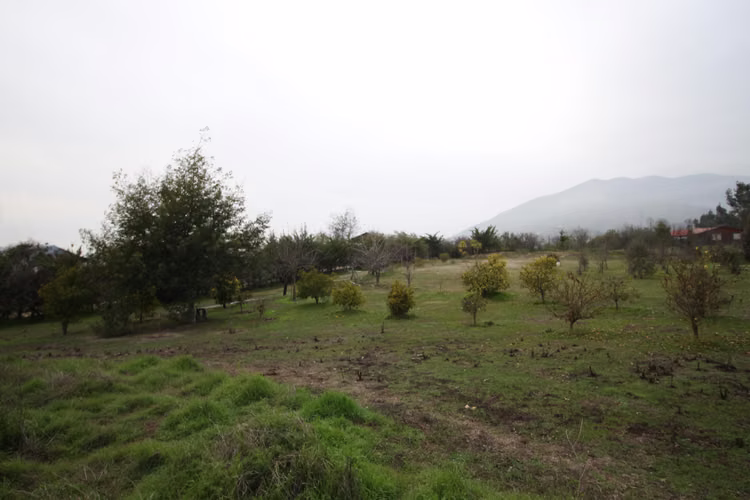 Melipilla (156251) - Imagen 13