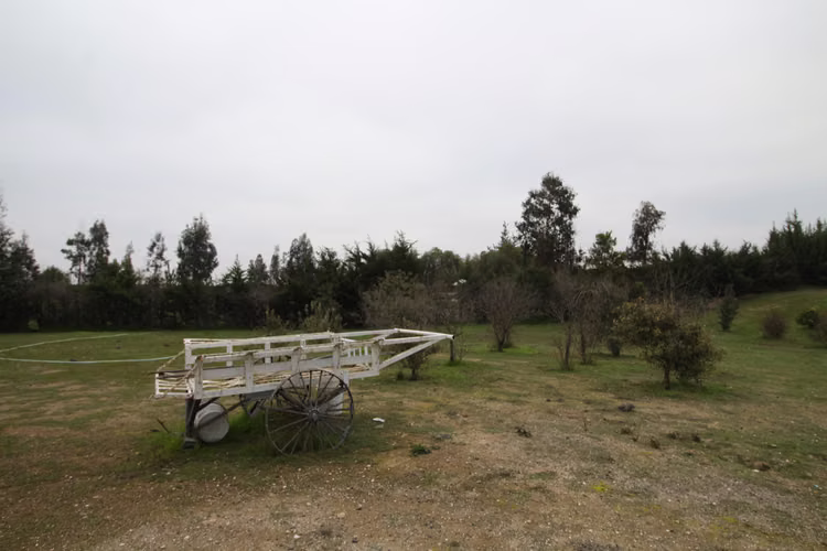 Melipilla (156251) - Imagen 21