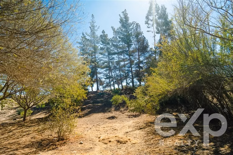 venta parcela para proyecto inmobiliario en valle del elqui - Imagen 9