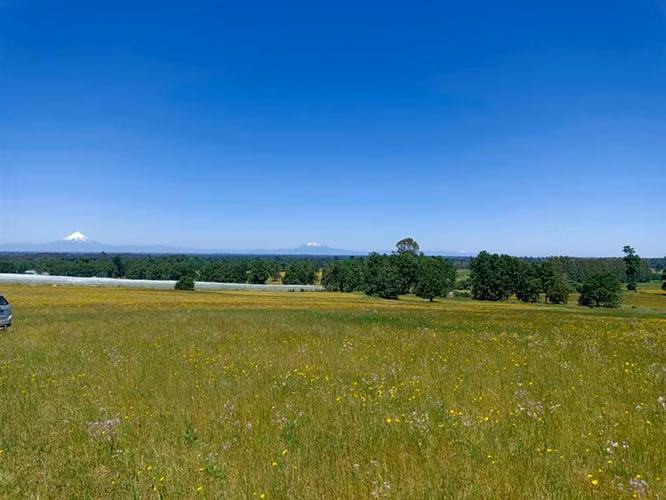 Parcelas en Frutillar, bosques y praderas. Financiamiento