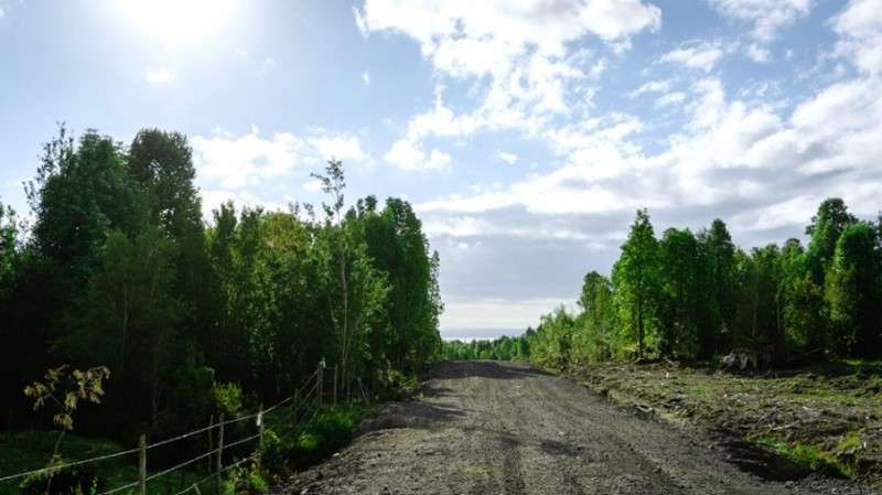 Parcela COLONIA RIO SUR ,CAMINO ENSENADA - Imagen 2