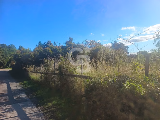 Rebajado! Atención inversiónistas, Terreno para Proyecto