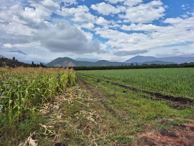 Lotes y Terrenos en Llaillay | venta | VENTA AGRÍCOLA LLAY LLAY: CLP ...