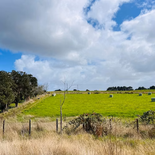 Parcela 1,35 ha con casa + galpón comercial | Orilla de carretera | Los Muermos | Alta plusvalía
