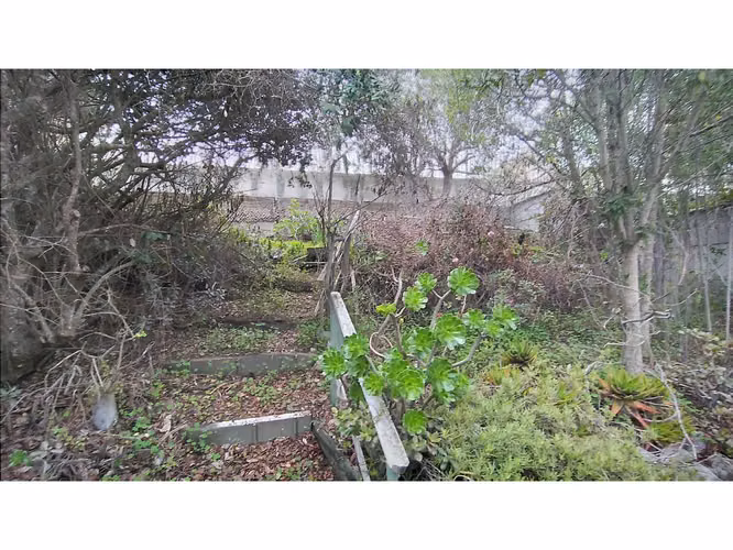 Oportunidad Casa algarrobo (Sector Mirasol)