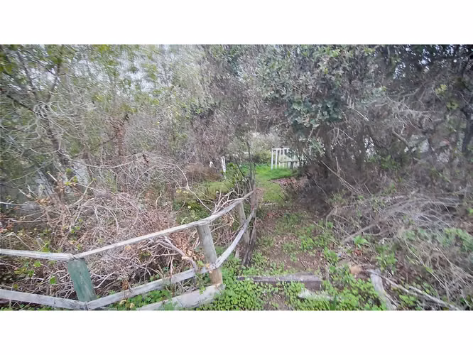 Oportunidad Casa algarrobo (Sector Mirasol)
