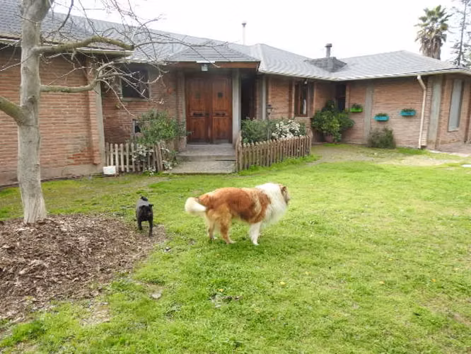 Oportunidad hermosa parcela en buin (excelente conectividad)  30% rebajada - Imagen 3