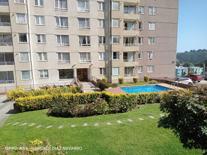 ARRIENDO DEPTO. REÑACA ALTO, VIÑA DEL MAR  (156553)
