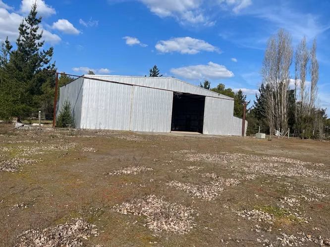 Bodega Hangar