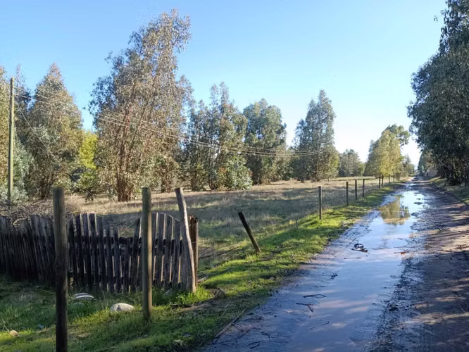 Parcelas // Excelente Ubicación // Talca (156688)
