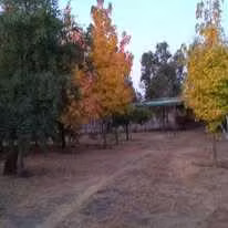Parcelas // Excelente Ubicación // Talca (156688)