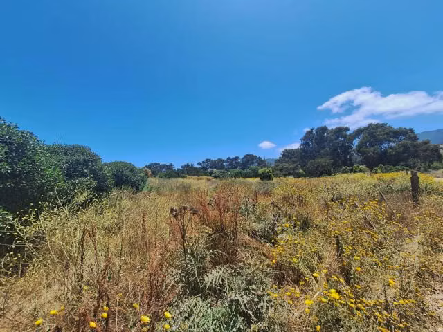 Sitio en venta en Zapallar