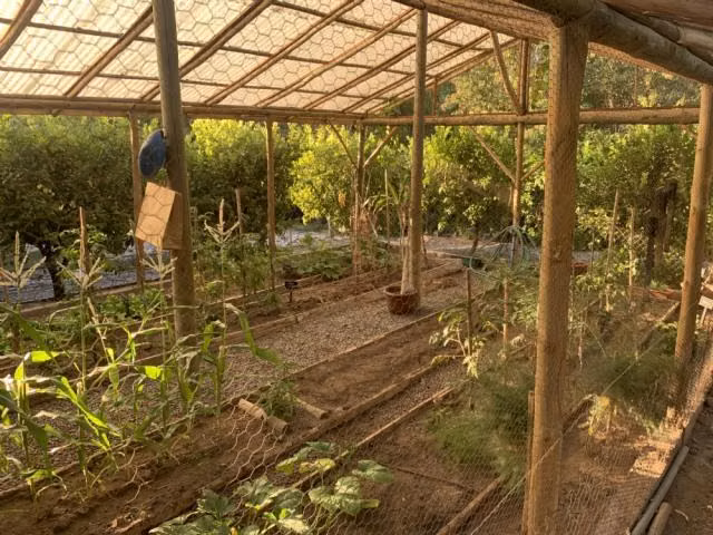 Casa en venta de 5 dorm. en Curacaví