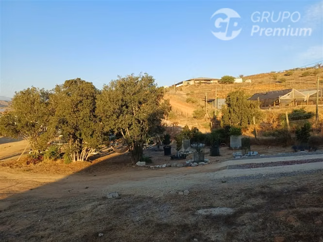 Parcela en arriendo en Limache
