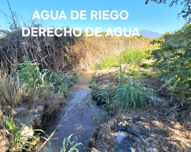 Se Vende Propiedad de 2 Hectáreas en Comuna de Isla de Maipo - Imagen 4