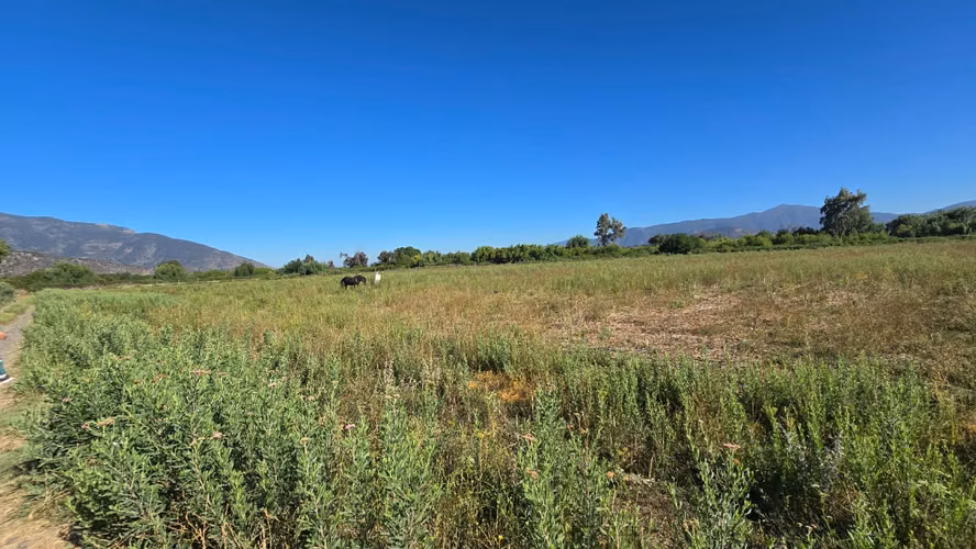 Se Vende Propiedad de 2 Hectáreas en Comuna de Isla de Maipo - Imagen 11