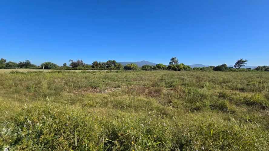 Se Vende Propiedad de 2 Hectáreas en Comuna de Isla de Maipo - Imagen 14