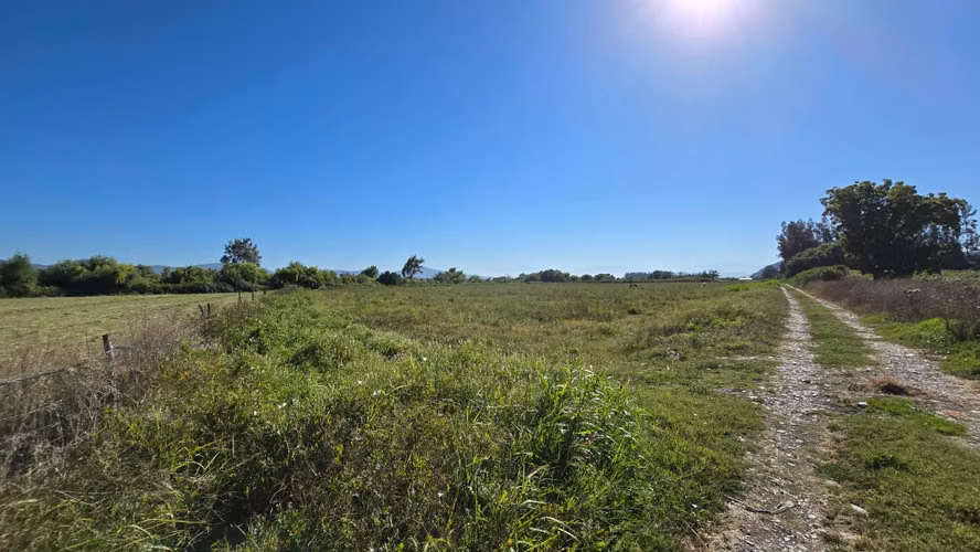 Se Vende Propiedad de 2 Hectáreas en Comuna de Isla de Maipo - Imagen 12