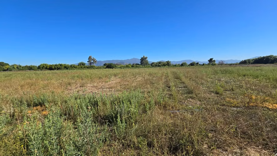 Se Vende Propiedad de 2 Hectáreas en Comuna de Isla de Maipo - Imagen 13