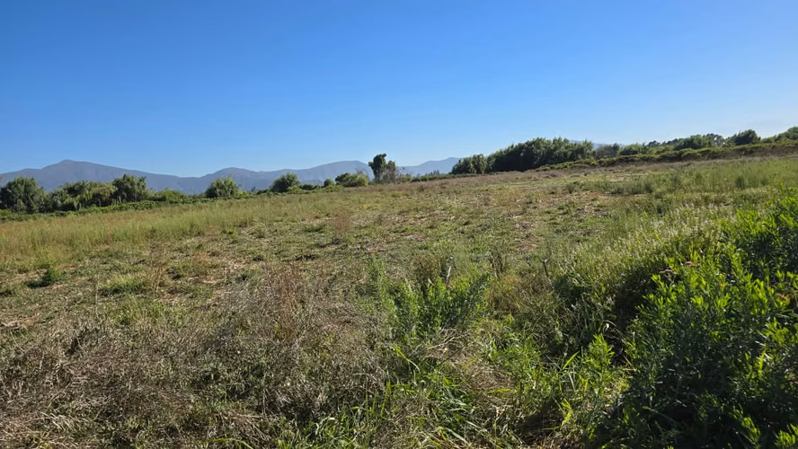 Se Vende Propiedad de 2 Hectáreas en Comuna de Isla de Maipo - Imagen 15