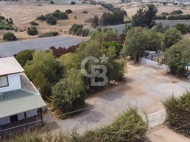 Parcela y Casa en El Convento de 2 hectáreas - Imagen 8