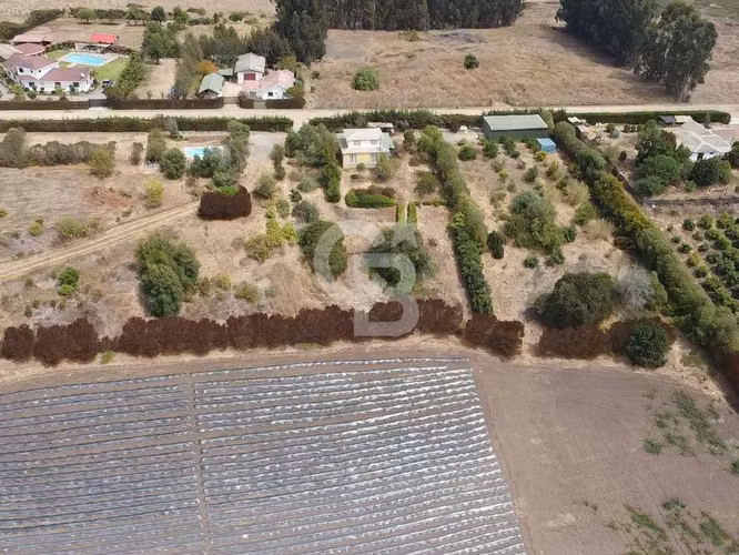 Parcela y Casa en El Convento de 2 hectáreas - Imagen 3
